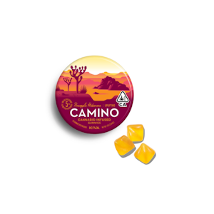Camino - PINEAPPLE HABANERO GUMMIES - UPLIFTING
