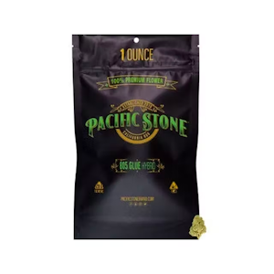 Pacific stone - 805 GLUE OUNCE